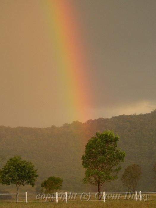 Rainbow, Boonah Fassifern Road P1080068.JPG